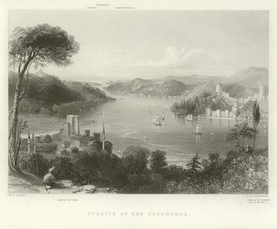 Straits of the Bosphorus by William Henry Bartlett