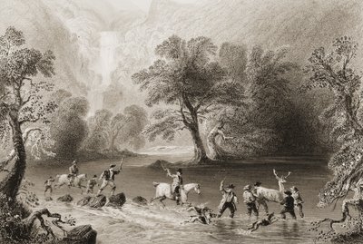 Taking a Stag near Derrycunnihy Cascade, County Kerry, Ireland, from 