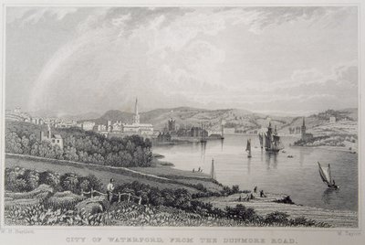 View of Waterford from The Dunmore Road, Ireland, engraved by W. Taylor by William Henry Bartlett