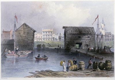 View of the Toronto Docks - in Canadian Scenery Illustrated by Bartlett W. H. by William Henry Bartlett