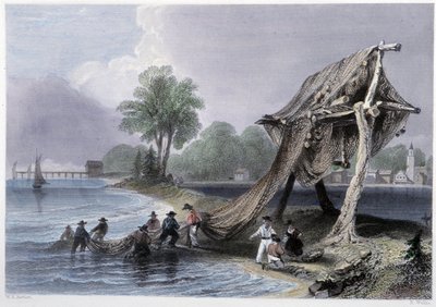 Wellington, Fishing on Lake Ontario - in “Canadian scenery illustrated” by Bartlett W. H. by William Henry Bartlett