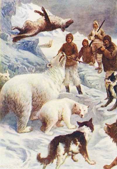 Illustration for The World of Ice or the Whaling Cruise of The Dolphin by William Henry Charles Groome