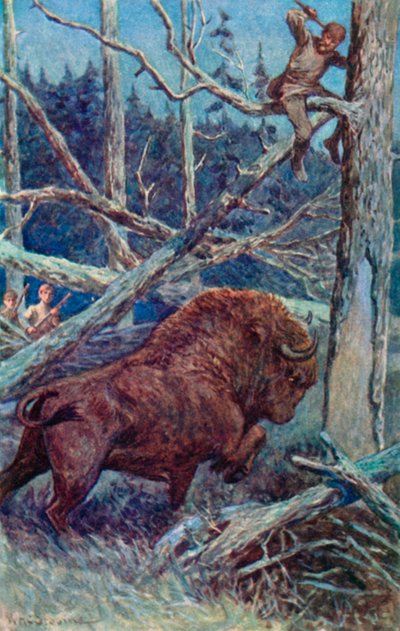 The Bison Pawed the Ground in His Rage by William Henry Charles Groome
