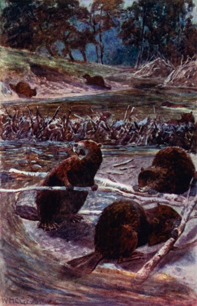 They Build a Dam Across the Stream by William Henry Charles Groome