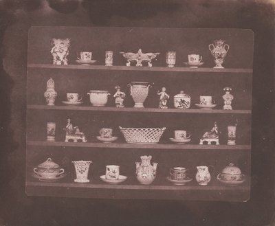 Articles of China by William Henry Fox Talbot