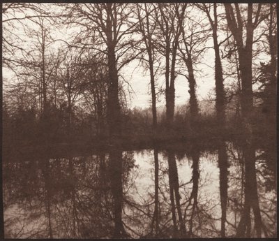 Winter Trees Reflected in a Pond by William Henry Fox Talbot