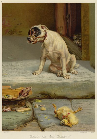 Guilty, or Not Guilty by William Henry Hamilton Trood