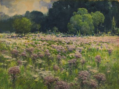 Field of Joe Pie Weeds Pride of the Meadow by William Henry Holmes