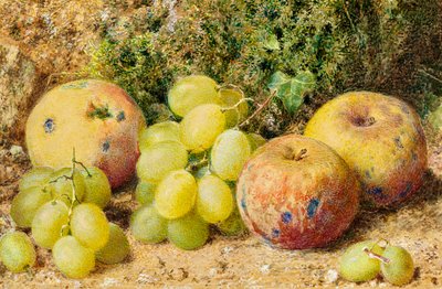 Apples and White Grapes by William Henry Hunt