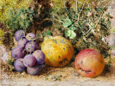 Black Grapes, Quince, and Newtown Pippin by William Henry Hunt