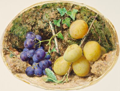Golden Drop Plums and Black Grapes, c.1860 by William Henry Hunt