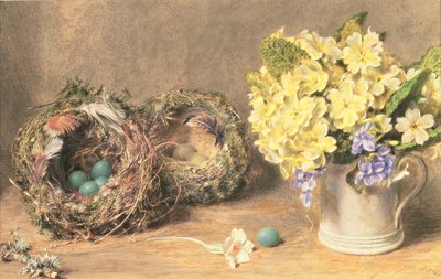 Spring Flowers and Birds