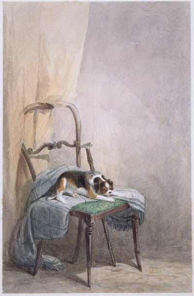 Study of a Dog on a Chair by William Henry Hunt