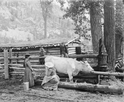 Mountain milk maids in Colorado by William Henry Jackson