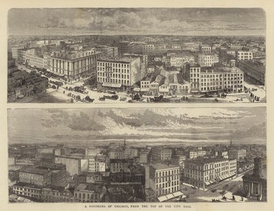 A Panorama of Chicago, from the Top of the City Hall by William Henry James Boot