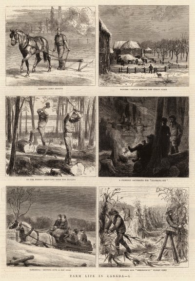Farm Life in Canada, I by William Henry James Boot