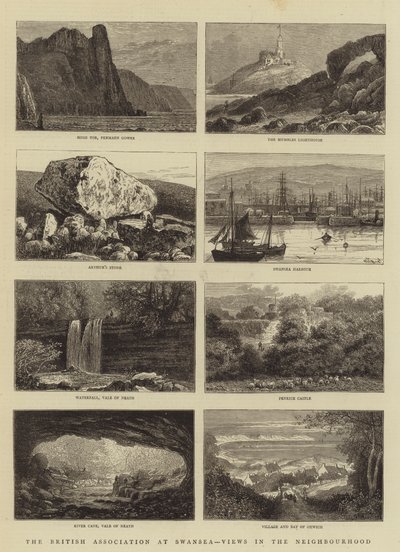 The British Association at Swansea, Views in the Neighbourhood by William Henry James Boot