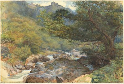 On the East Lyn, North Devon by William Henry Millais