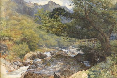 On the Lyn, North Devon by William Henry Millais