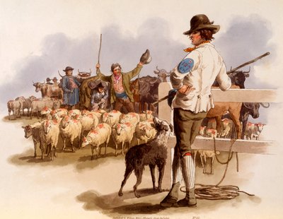 Smithfield Drover, from 