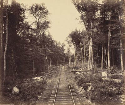 Ganoga Lake Branch by William Herman Rau