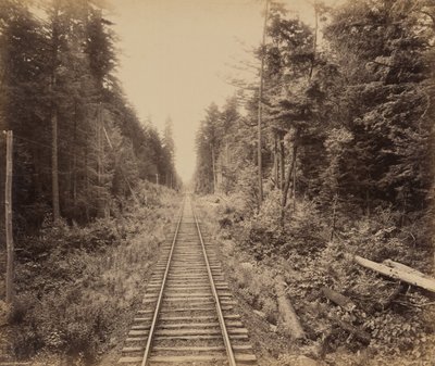 Hemlock Forest by William Herman Rau