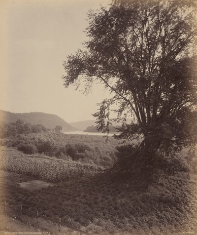 Picturesque Susquehanna, Near Laceyville by William Herman Rau