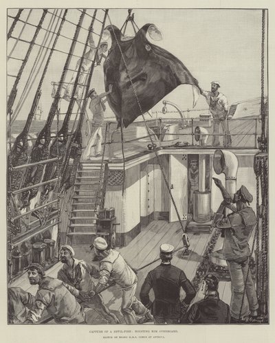 Capture of a Devil-Fish, Hoisting Him Overboard by William Heysham Overend