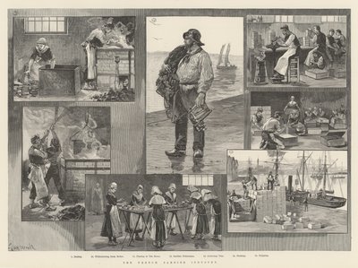 The French Sardine Industry by William Heysham Overend