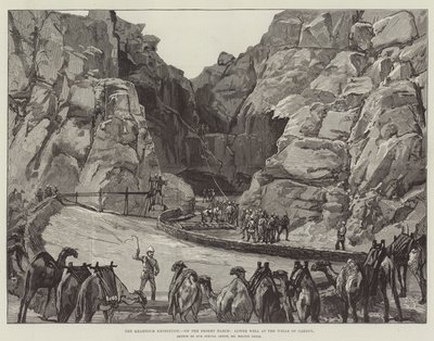 The Khartoum Expedition, on the Desert March, Lower Well at the Wells of Gakdul by William Heysham Overend