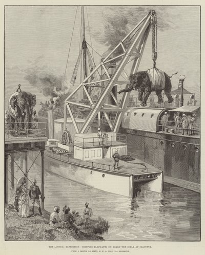 The Looshai Expedition, Shipping Elephants on Board the Simla at Calcutta by William Heysham Overend