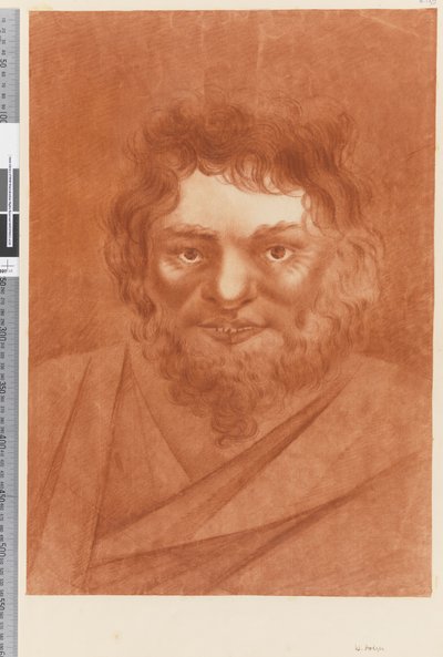 Portrait of a native by William Hodges