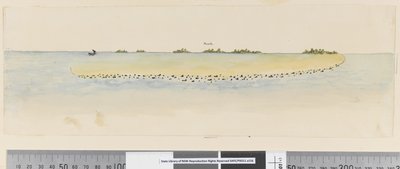 Profile of Unidentified Pacific Island Showing a Lagoon by William Hodges