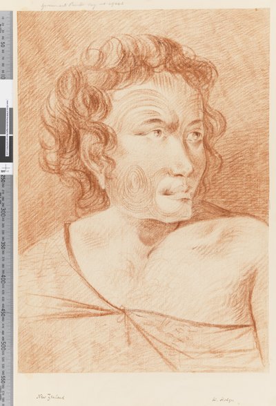 New Zealand Portrait of a Maori by William Hodges