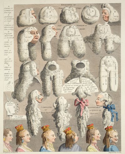 The Five Orders of Perriwigs, Illustration from 