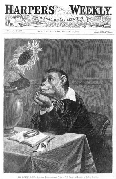 Cover of 