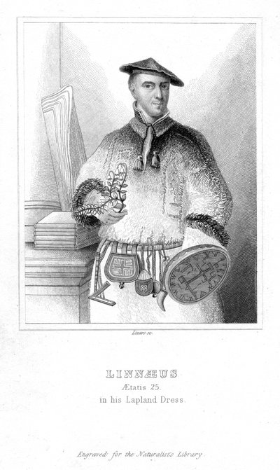 Carolus Linnaeus, Swedish Naturalist by William Home Lizars