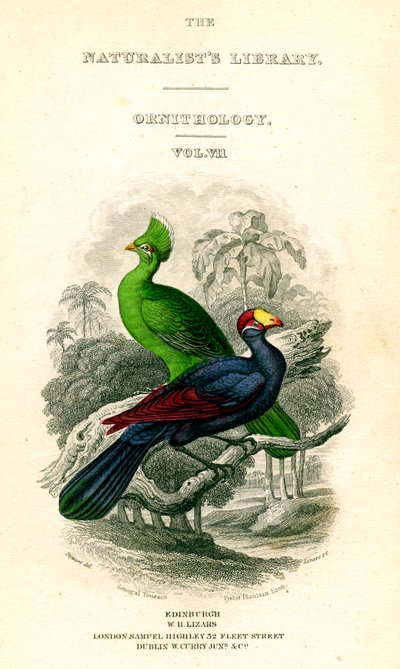 The Naturalist