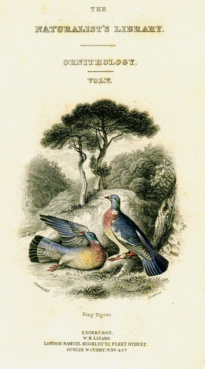 The Naturalist