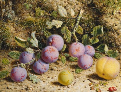 Still Life with Plums, a Peach and Rosehips by William Hough