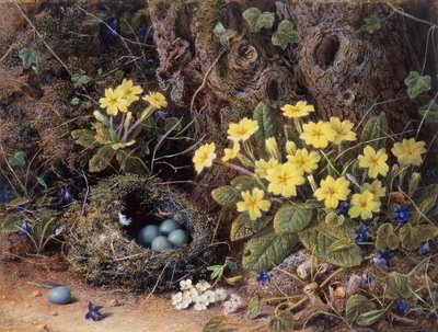 Still Life with a Birds Nest, Primroses and Violets by William Hough