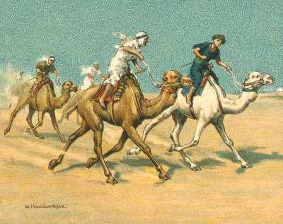 Races Historic and Modern, Camel Races by William Hounsom Byles