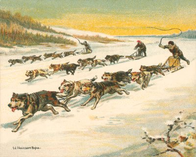 Races Historic and Modern, Canadian Dogsleigh Races by William Hounsom Byles