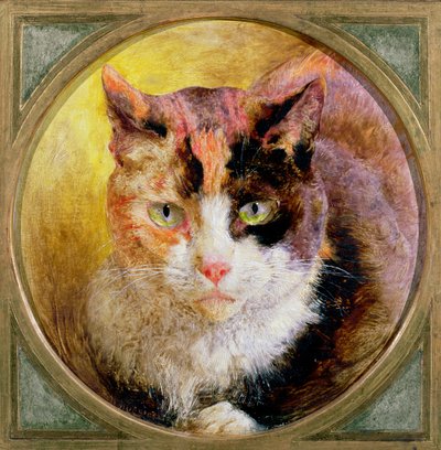 A Head Study of a Tortoiseshell Cat by William Huggins