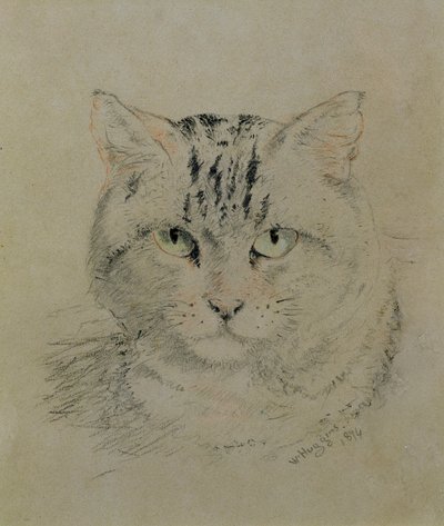 Tabby Cat by William Huggins