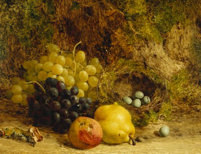 Grapes, an Apple, a Pear and a Bird