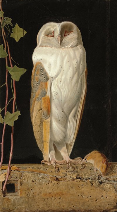 The White Owl: 