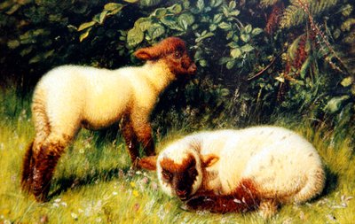 Sheep, c.1860 by William J. Webbe or Webb