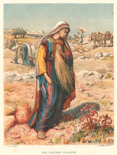The Eastern Gleaner by William J. Webbe or Webb