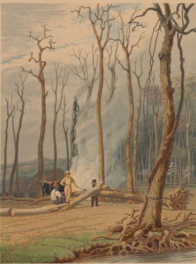 Spring--Burning Fallen Trees in a Girdled Clearing. Western Scene by William James Bennett